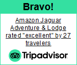 tripadvisor