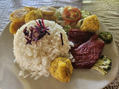 delicius jungle cuisine