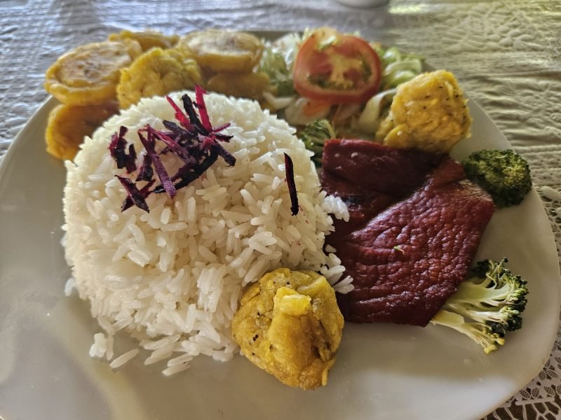 delicius jungle cuisine